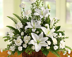 Phillip S Flowers Delivery In Chicago Naperville Wheaton Area