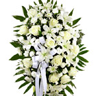 FREE Same Day Sympathy Flowers Delivery  Funeral Flowers Chicago, IL –  Bloom Funeral Flowers Chicago