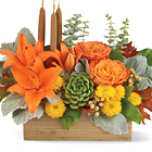 Phillip's Flowers Chicago Florist in Naperville, Wheaton ...